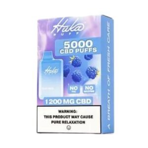 Huka Puff | Blue Razz CBD Vape - 5000 Puffs